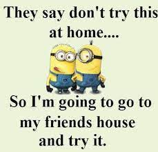 Pin By Steven Reinhardt On My Minions Funny Minion Quotes Funny Minion Memes Funny Quotes