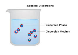 Image result for Colloid Solution