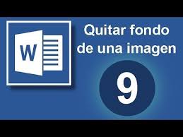 Tutorial Word Cap 9 Quitar Fondo De Una Imagen En Word Youtube In 2020 Y Words Modern Teacher Words