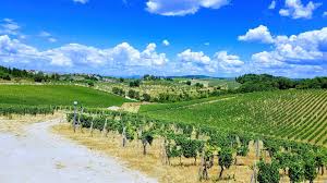 How To Get From Florence To Tuscany For A Chianti Wine Tour In Italy Boozing Abroad Tuscany Wine Tour Chianti Wine Wine Tour