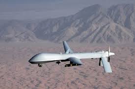 10 makanan paling mahal di dunia. Siapa Yang Dicipta Drone