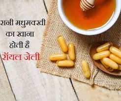 Royal Jelly Is Queen Bees Food Know 10 Potential Health Benefits of Royal  Jelly - Royal Jelly Benefits: रानी मधुमक्खी का खाना होती है रॉयल जेली, इन  10 समस्याओं का है रामबाण इलाज