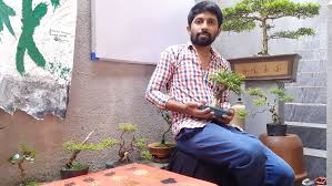 Pembroke pines gardener has a passion for. Bonsai Museum Blog