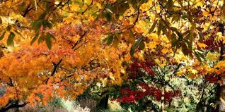 صور خلفيات مناظر طبيعية خلابة 2017 Painting Art Wallpaper
