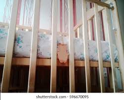 Empty Cradle Images Stock Photos Vectors Shutterstock