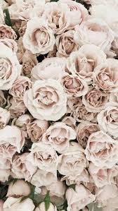 Find the large collection of 47000+ flower background images on pngtree. Aesthetic Wallpaper Flower Wallpaper