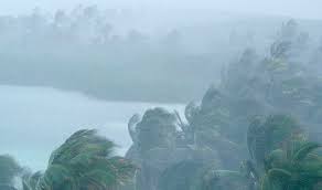 Maybe you would like to learn more about one of these? Epoca De Furacoes E Terremotos No Golfo Do Mexico 2021 Dicas Incriveis