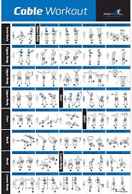 анатомия силовых тренировок для женщин скачать бесплатно полную верс Laminated Cable Exercise Poster 20 X30 In 2020 Cable Workout Cable Machine Workout Workout Chart