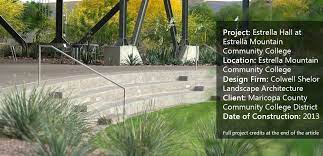 Sustainable Solutions Lead To An Award Winning Landscape