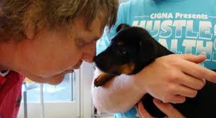 Can My Puppy Be A Therapy Dog What Training Is Involved Therapy Dogs Therapy Animals Therapy Dog Training