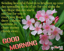Good Flower Quotes Quotesgram
