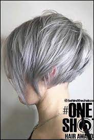 12 Various Chic Styles For Pixie Bob Haircut Bob Chic Haircut Hairstyles Pixie Short Styles Styling Kurzes Haar Haarschnitt Bob Pixie Bob