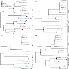 Quem dá banho ao cão? seg, 7 set. Viral Diversity Of Rhipicephalus Microplus Parasitizing Cattle In Southern Brazil Scientific Reports