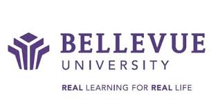Top 30 Most Affordable Online Master S In Political Science Degrees 2019