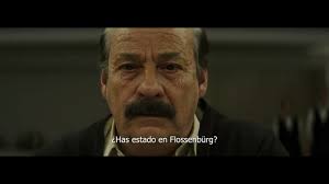 La estrella azul', 'Marco' y 'Segundo Premio', las tres finalistas para  representar a España en los Oscar