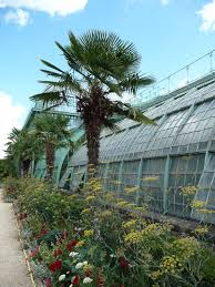 Le Jardin Des Serres D Auteuil En Ete Jardins Jardin D Hiver Jardin D Acclimatation