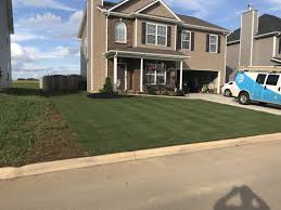 Again, ironite works for balancing the ph levels, fulfilling nutrients deficiency. Milorganite Hype The Lawn Forum