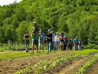 CSA Orientation and Farm Tour — Woven Roots Farm