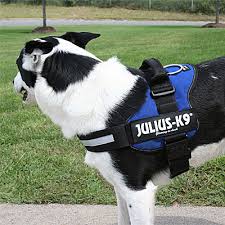 Julius K9 Original Power Harness