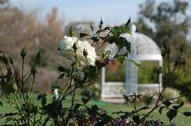 May Be A Nice Place For The Ceremony South Coast Botanical Garder South Coast Botanic Garden Botanical Gardens Celebrity Weddings