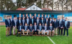 Image result for Ozoroa kassneri