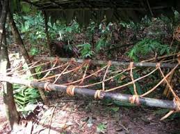 Six Of The Top Wilderness Survival Shelters Survival Shelter Survival Gadgets Wilderness Survival Shelter