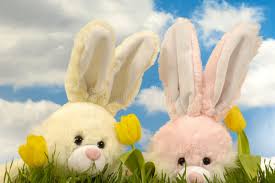 Image result for tbn:nuNU7FPK4A54yM::rvforsaleguide.com/images/bunny-resting-picture.jpg