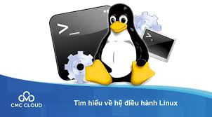 Hệ điều hành Linux là gì? Tổng hợp kiến thức cơ bản về Linux