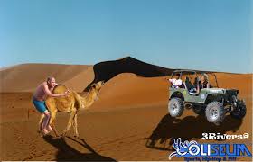 Its a wonder how a human like beyonce doesn't get as much affection in public. Image 605419 Jay Z Diving Know Your Meme