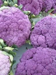I have more unusual fruits and vegetables to show, but i'll save them for another day. Edible Plant Info Unusual Fruits And Vegetables For The Garden
