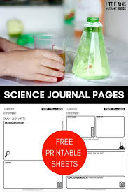 Our expert science tutors prepare worksheets that are age and grade appropriate. Printable Kids Science Worksheets For Science Experiments