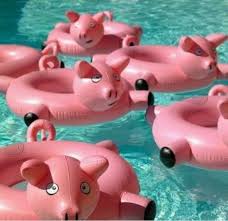 Pin By Buy Me By She On Kolam Renang Pool Floats Pool Floaties Cool Pool Floats
