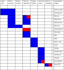 The Sympathies Of The Body Functional Organization And Neuronal Differentiation In The Peripheral Sympathetic Nervous System Springerlink