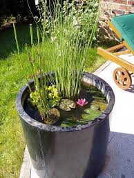 Nature Bassin La Mare Et Le Bassin De Jardin Naturel Conseils Pour Realiser Entretenir Un Etang Jardin Aquatique Bassin De Jardin Mini Jardins