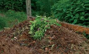 Composting is great for the environment and it can be easy to do with the right setup. Gardening Tips 5 Tips To Start Composting Finegardening