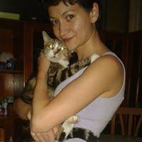 The Morgesons by Elizabeth Stoddard