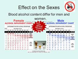 dangers of alcohol and driving ppt video online download