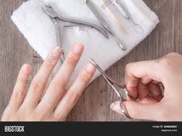 Jenn158 july 23, 2019 services no comments. Trim Nails On Hand Do Image Photo Free Trial Bigstock