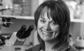 Scientific Proceedings