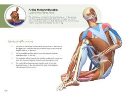 The Key Poses Of Yoga Scientific Keys Volume 2