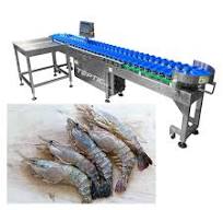 OEM/ODM Weight Sorting Machine Grading Machine Sorting Machinery Weight  Sorter Grader Equipment Weight Classifier for Fish Shrimp Fruit Apple Lemon  Mango