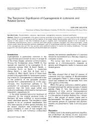 Image result for Lotononis serpentinicola