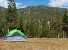 Simply walk up to the. Yellowstone National Park Camping National Park