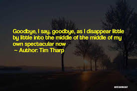 Top 30 Sometimes I Wish I Could Just Disappear Quotes Sayings