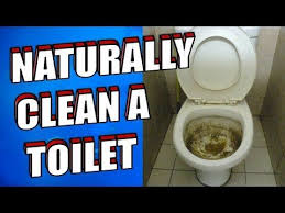 How To Clean A Toilet Using Baking Soda And Vinegar Youtube In 2020 Hard Water Stain Remover Cleaning Hard Water Stains