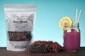 Maybe you would like to learn more about one of these? Buy Purple Sea Moss Irish Moss Wildcrafted From St Lucia 100 Natural Raw Hard To Find 4oz Online In Vietnam B089fpkbw6