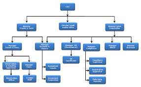 review the corporate organizational chart below an