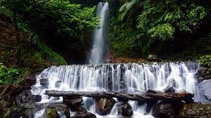 We did not find results for: 28 Air Terjun Curug Di Bogor Yang Bagus Dan Lagi Hits 2019 Explore Bogor