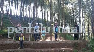 Check spelling or type a new query. Harga Tiket Masuk Dan Lokasi Bukit Pentulu Indah Kebumen Spot Terbaru Untuk Pecinta Sunrise Daka Tour