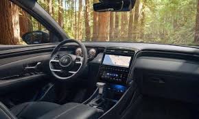 Image result for California Sand 2024 Santa Cruz